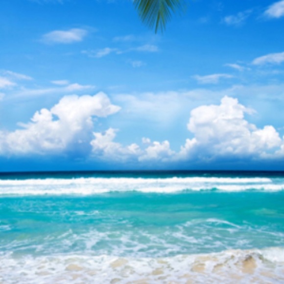 Meet your Posher, S. - Picture 1 of 1